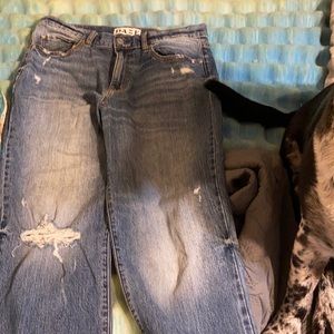 Brand new boyfriend capris